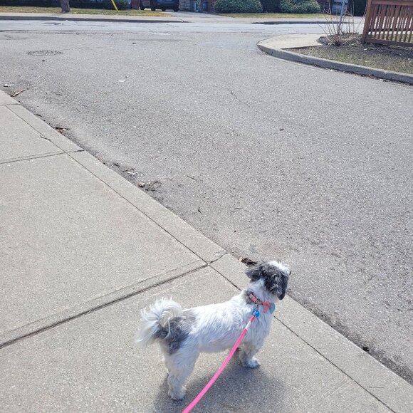 Meet your Posher, Barbara - Picture 1 of 1